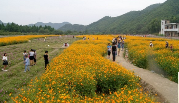 花谷论坛最新地址