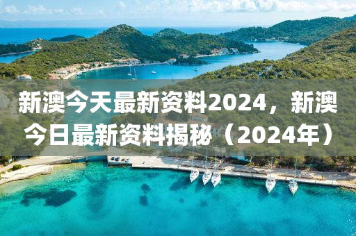 2024新澳资料免费精准,综合性计划落实评估_钱包版1.708