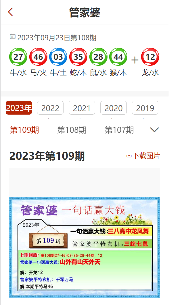 2024精准管家婆一肖一马,整体规划执行讲解_精简版4.09