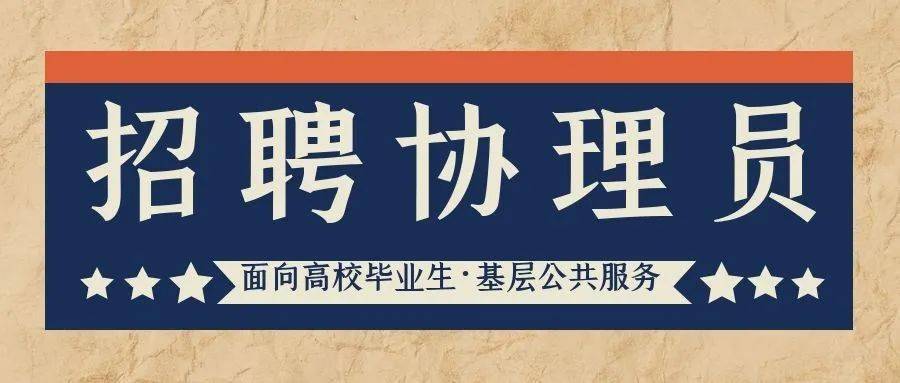 龙游就业网最新招聘动态全面解析