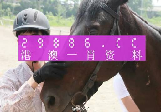 澳门一肖一码一特一中云骑士，绝对经典解释落实_HD95.24.15