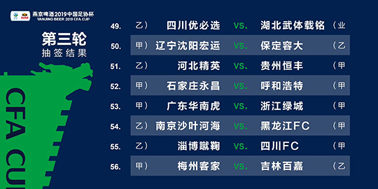 新澳门精准四肖期期中特公开，最佳精选解释落实_BT86.22.18