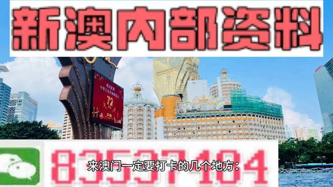 新澳精准资料大全,准确资料解释落实_专业版6.713