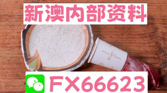 新澳精准资料免费,动态词语解释落实_标准版6.676