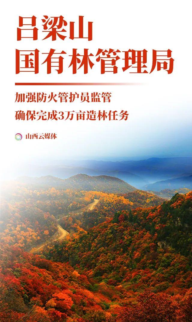 山西活立木最新消息，发展动态及前景展望