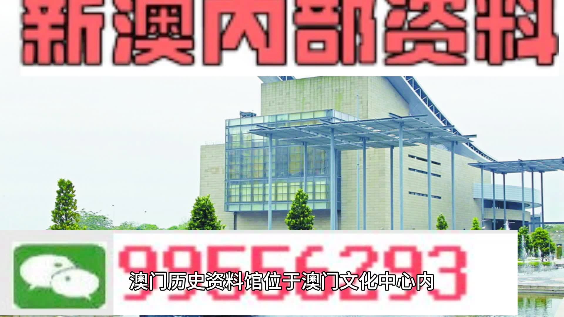 新澳2024精准一肖一码,数据驱动执行方案_娱乐版305.210