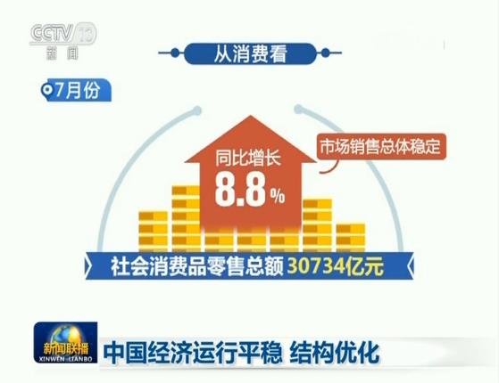 揭秘提升平肖2024一100,完善的执行机制解析_标准版90.65.32