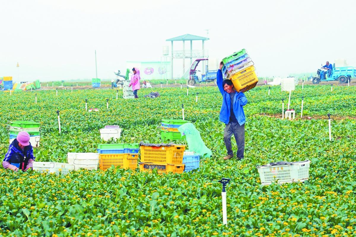 香港最快、最准的资料,效率资料解释落实_精简版105.220