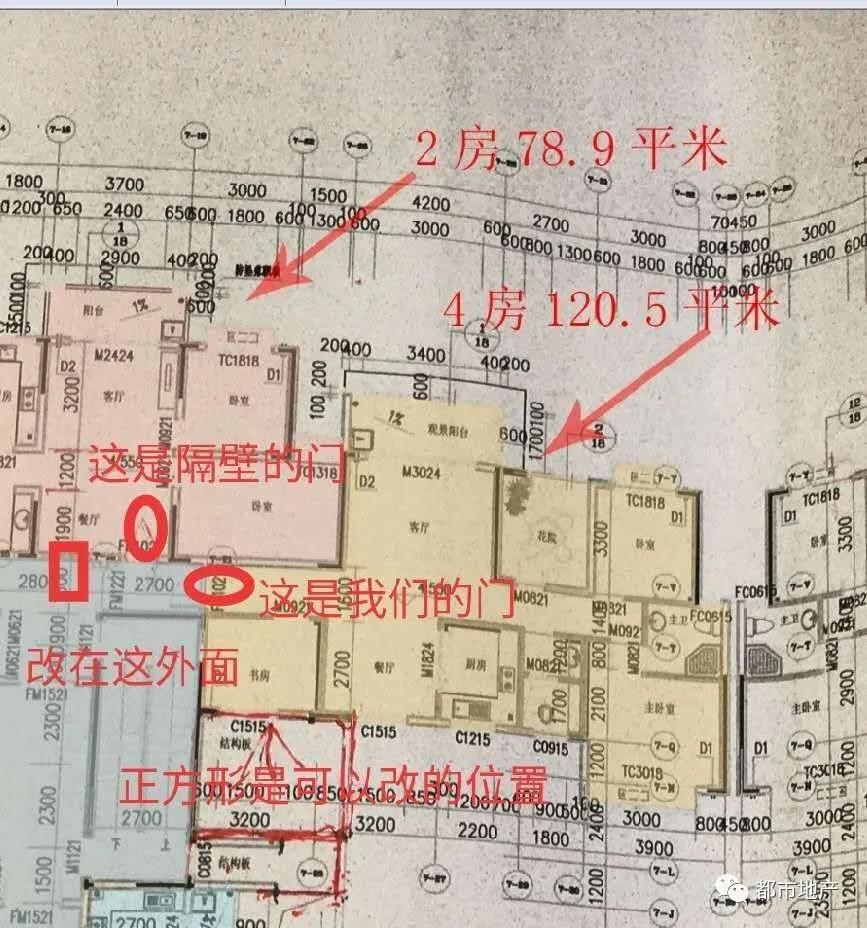 岭秀福城最新动态深度剖析