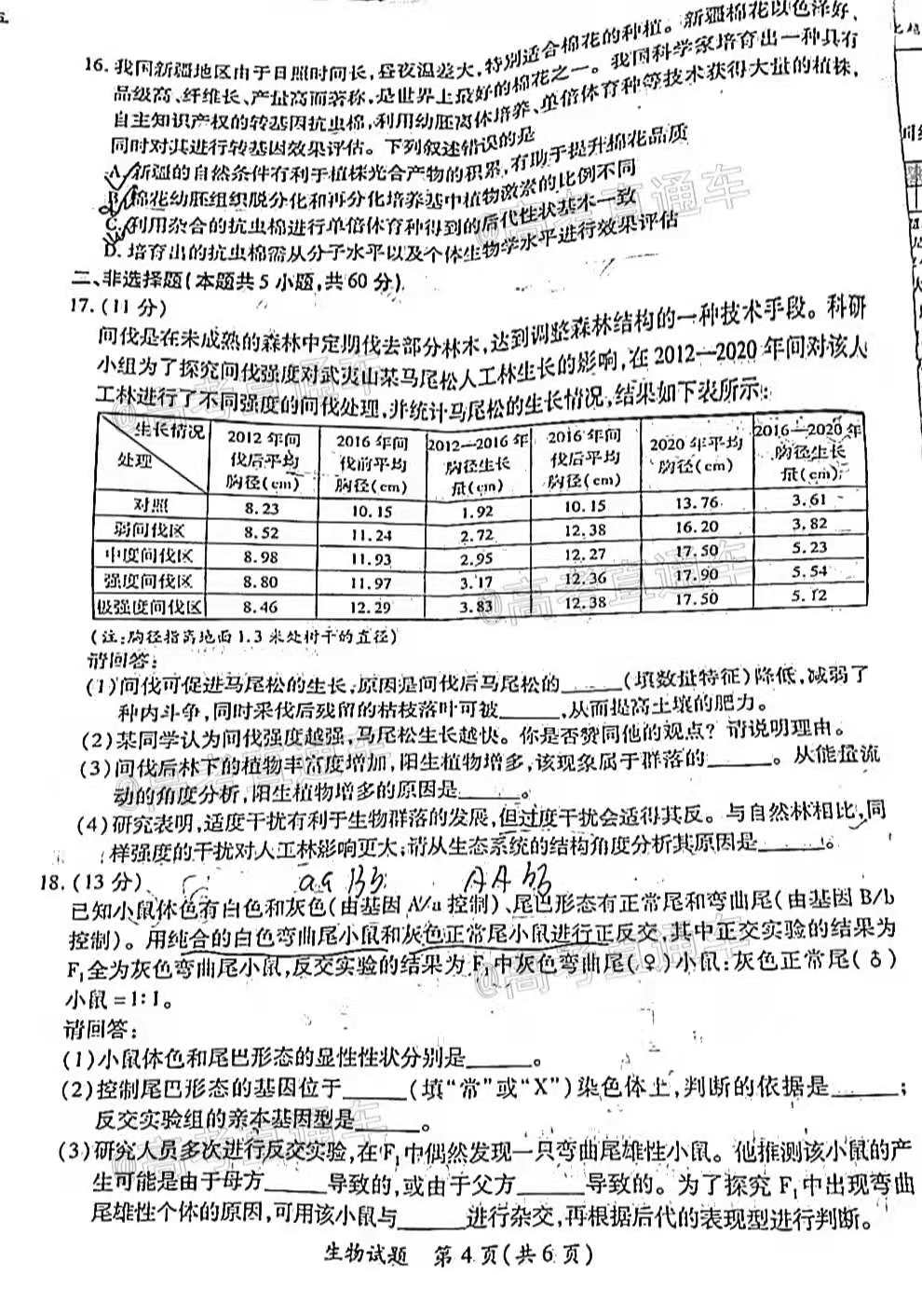 2024新澳门精准免费大全,最新答案解释落实_动态版2.236