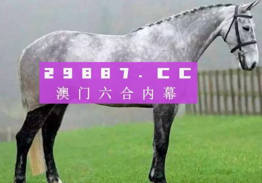 2024澳门特马开奖记录,资源整合策略实施_特别版2.336