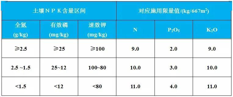 新澳门免费资料大全流行彩,国产化作答解释落实_潮流版2.773