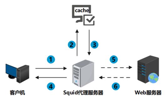 最新纯净代理服务器，助力高效安全网络访问体验