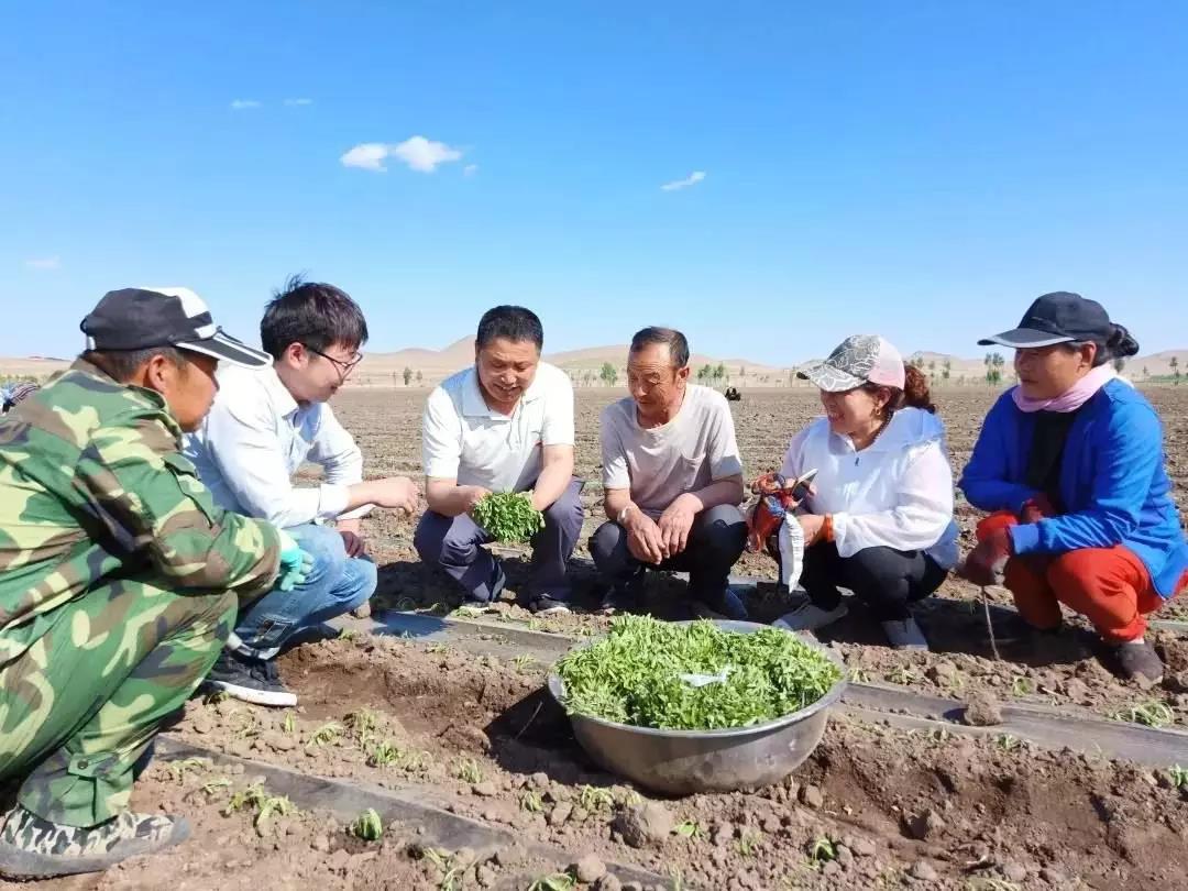 澳门大赢家一肖中特,动态词语解释落实_增强版8.317