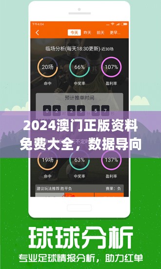 2024澳门精准正板资料免费,重要性解释落实方法_精英版201.123