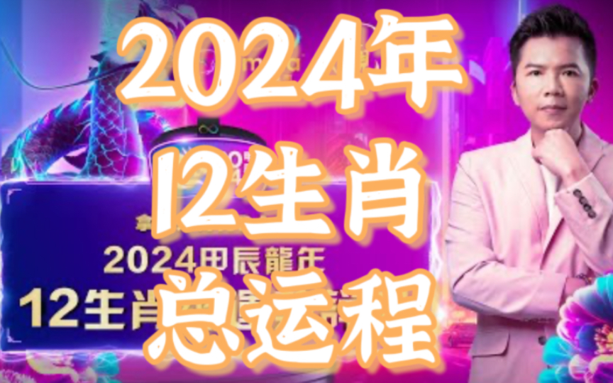 揭秘提升2024一码肖,专业解析评估_纪念版31.774