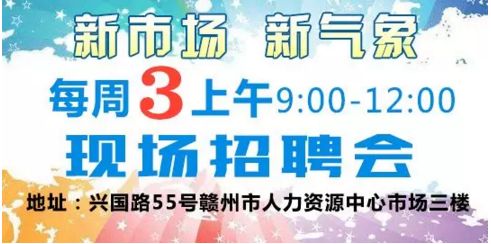 东阳安康人才网最新招聘动态深度解读与解析