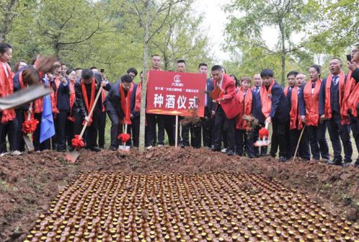 成都金堂县繁荣进步缩影，最新发展一览