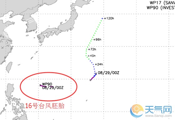 台风最新动态分析