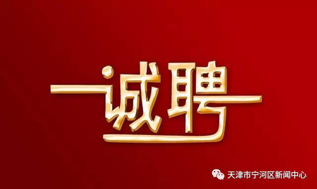 宁河最新招聘，探索人才战略新高度，宁河探索人才战略新高度，最新招聘开启