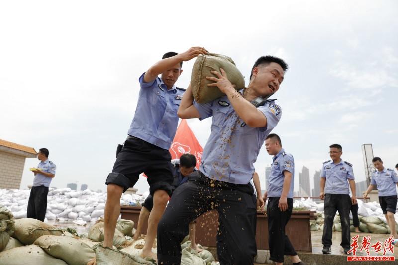 长沙抗洪最新情况，众志成城，共克时艰，长沙抗洪，众志成城，共克时艰