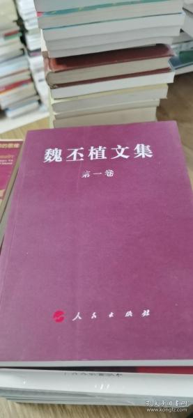 魏丕植最新职务，探索领导力的新高度，魏丕植新职务亮相，领导力再上新台阶