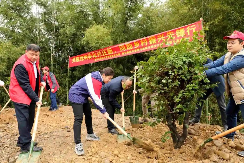 西古嘉园最新动态，城市新中心的崛起与未来展望，西古嘉园，城市新中心的崛起与未来展望