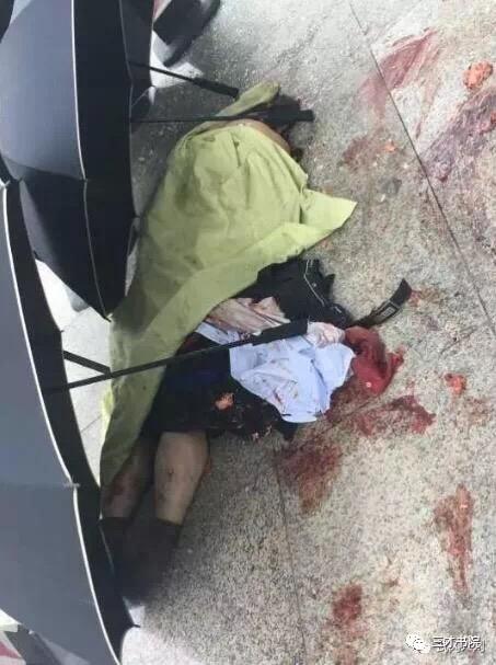 最新深圳坠楼身亡事件，城市高楼下的隐忧与反思，深圳坠楼事件敲响城市安全警钟