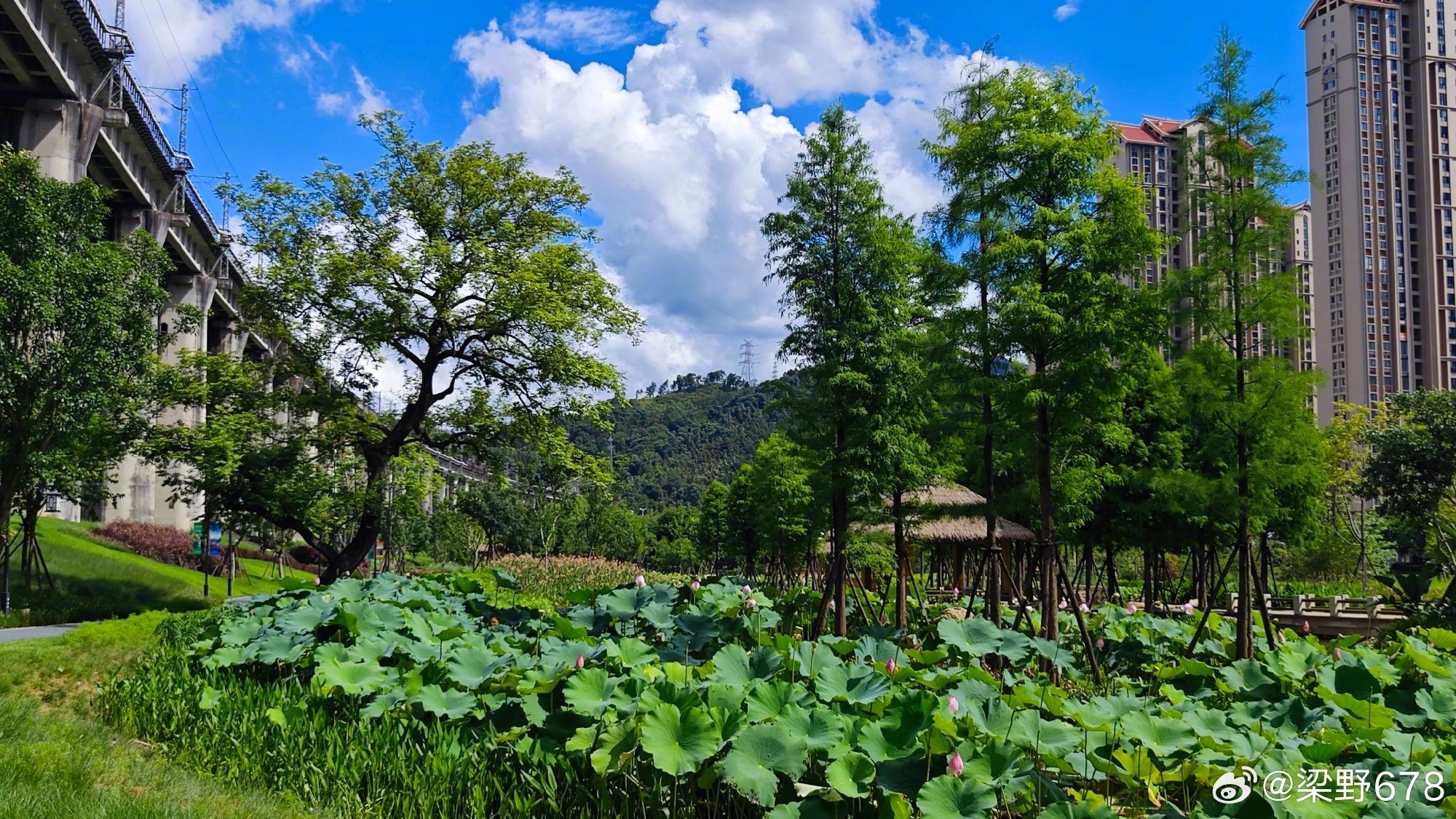 龙岩东山湿地公园最新动态，生态保护与自然美景的和谐共生，龙岩东山湿地公园，生态保护与自然美景的和谐共生