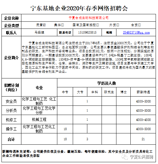 宁东招聘最新信息，开启职业生涯的新篇章，宁东招聘最新信息，开启职业生涯新篇章