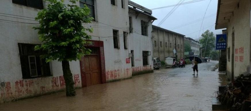 鲤中街道最新天气预报，探索城市气象与生活的微妙联系，鲤中街道天气预报，探索城市气象与生活的微妙联系