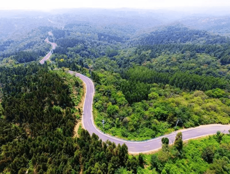 红岭林场最新交通新闻，绿色生态与便捷交通的和谐共生，红岭林场，绿色生态与便捷交通的和谐共生