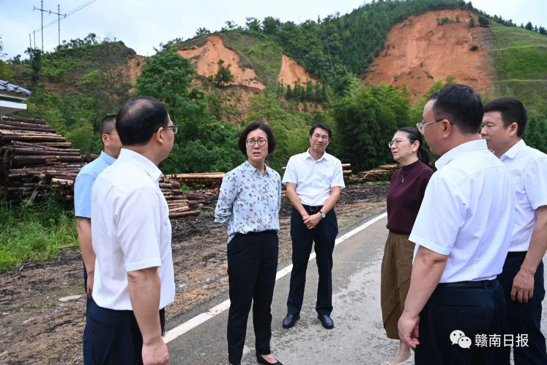 崇义县农业农村局最新发展规划，推动农业现代化，促进乡村振兴，崇义县农业农村局，推动农业现代化，助力乡村振兴