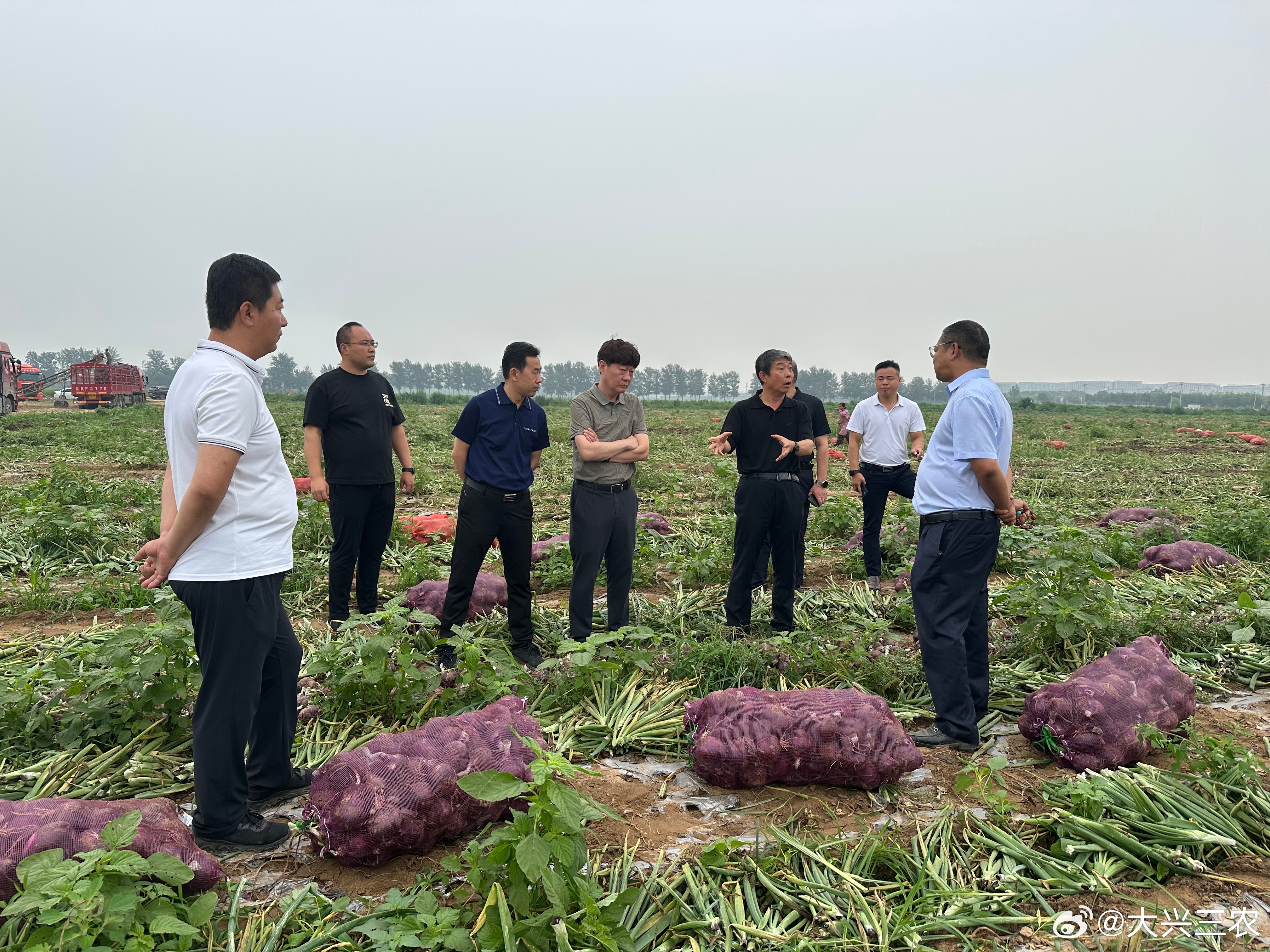 卫辉市农业农村局最新发展规划，推动农业现代化，助力乡村振兴，卫辉市农业农村局规划推动农业现代化，助力乡村振兴