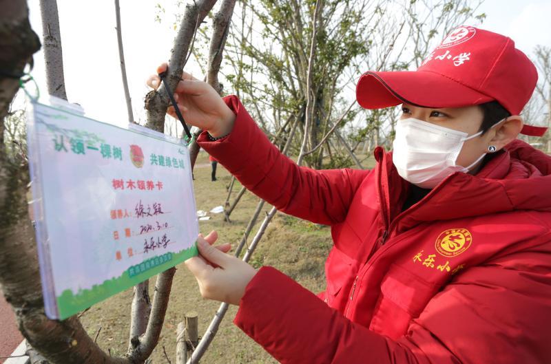 一棵树村民委员会最新发展规划，绿色生态与乡村振兴的交响曲，一棵树村民委员会发展规划，奏响绿色生态与乡村振兴交响曲