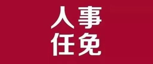 宣汉县审计局最新人事任命，推动审计事业发展的新篇章，宣汉县审计局人事调整，推动审计事业新篇章