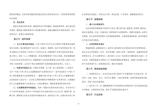 贺兰县体育局最新发展规划，打造区域体育新高地，促进全民健身与体育产业发展，贺兰县体育局规划打造区域体育新高地，助力全民健身与体育产业发展