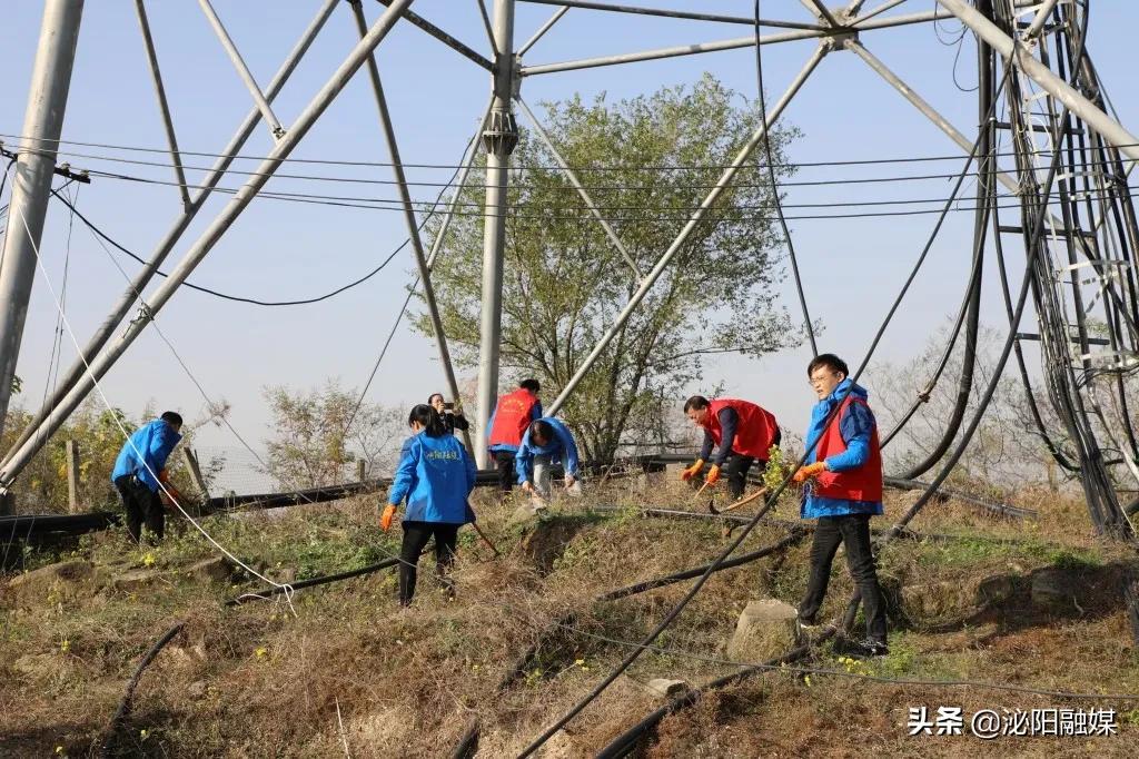 泌阳县教育局最新招聘信息，泌阳县教育局招聘公告