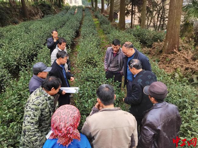 晴隆县文化广电体育和旅游局最新领导，引领文化体育事业新篇章，晴隆县文旅局新领导引领文化体育事业新篇章