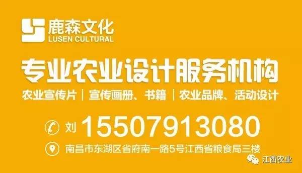 思聪乡最新招聘信息，开启乡村振兴新篇章，思聪乡发布最新招聘信息，助力乡村振兴发展