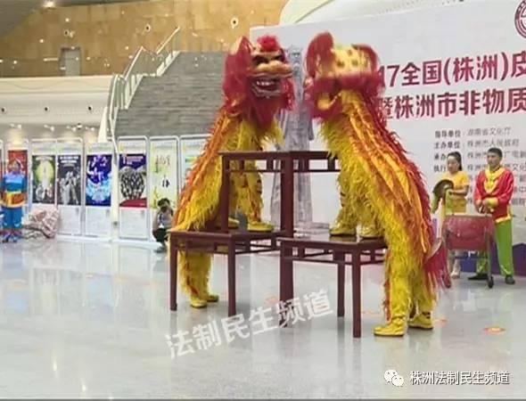 嘉善县剧团最新领导，引领地方戏曲文化的新篇章，嘉善县剧团新领导引领地方戏曲文化新篇章