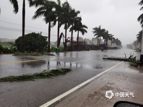 滨海街道最新天气预报，探索自然与生活的和谐共舞，滨海街道天气预报，探索自然与生活的和谐共舞