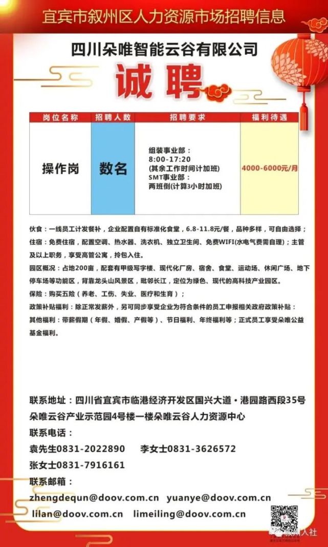 雨城区人民政府办公室最新招聘信息解析，雨城区人民政府办公室最新招聘启事